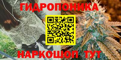 гидра Бузулук