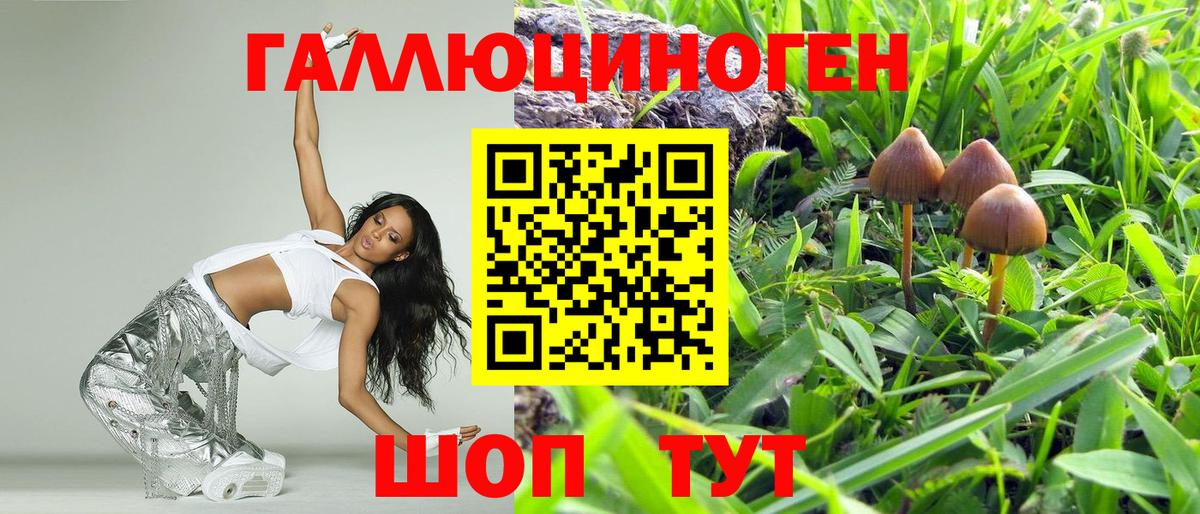 Псилоцибиновые грибы GOLDEN TEACHER Павлово