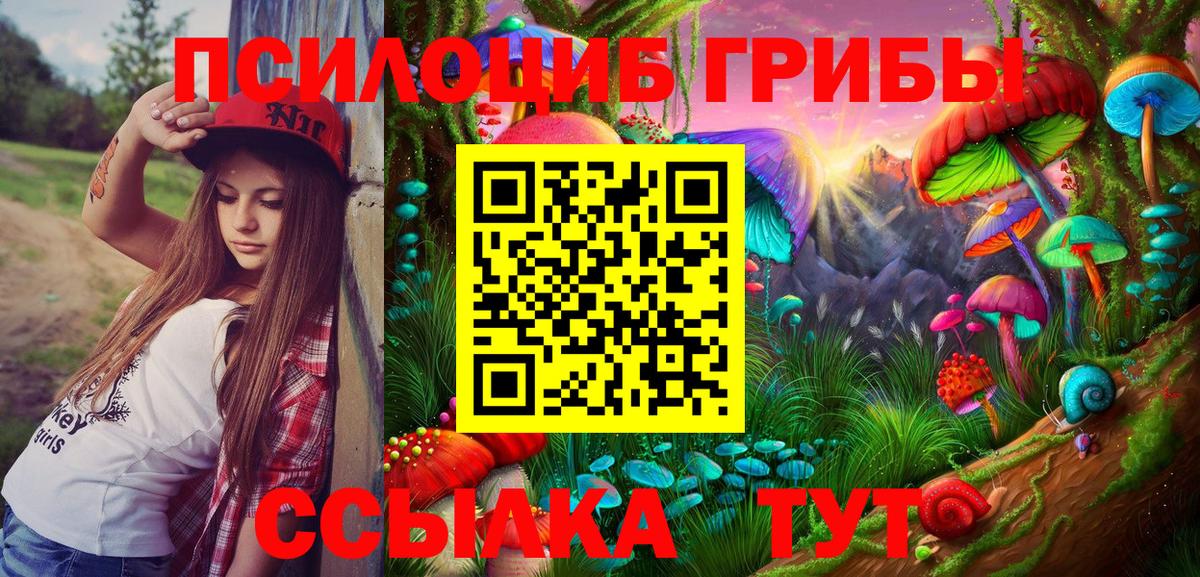 Павлово  наркотики  Псилоцибиновые грибы Psilocybine cubensis  Вход с VPN  Галлюциногенные грибы мухоморы 